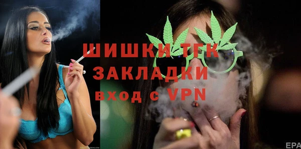 ГАЛЛЮЦИНОГЕННЫЕ ГРИБЫ Белокуриха