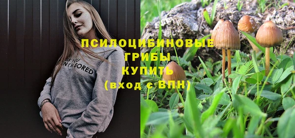 2c-b Белоозёрский