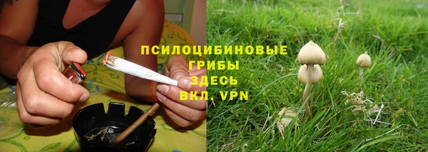 прущие крисы Беломорск
