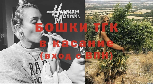 ГАЛЛЮЦИНОГЕННЫЕ ГРИБЫ Белокуриха
