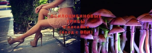 прущие крисы Беломорск
