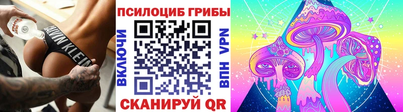 сайты даркнета какой сайт  мега ТОР  Козьмодемьянск  Галлюциногенные грибы мухоморы 